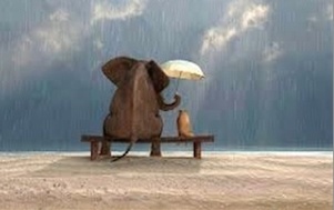 Kindly Elephant holding Umbrella